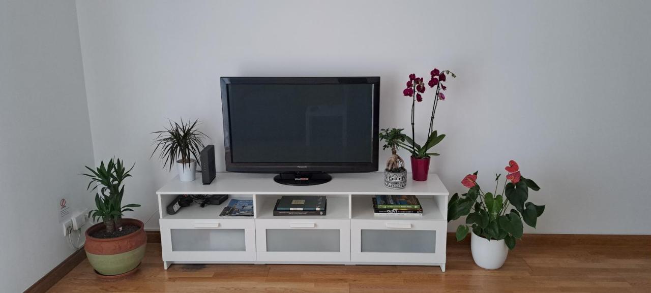 Apartment Lumineux T3 Avec Jardin Privatif A - Parking Et Wif Gratuit